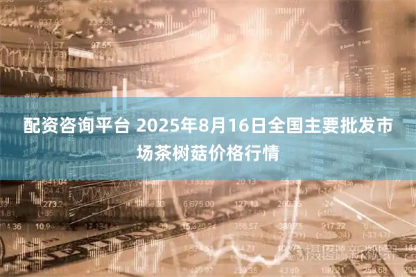 配资咨询平台 2025年8月16日全国主要批发市场茶树菇价格行情